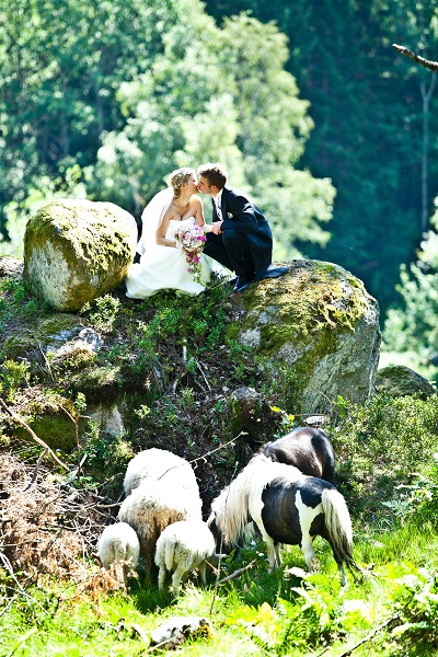 wedding with animals