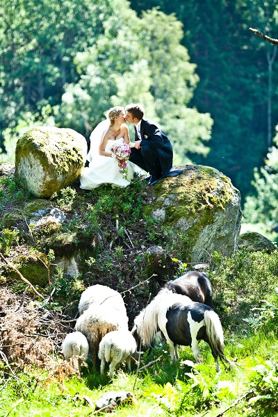 casamento com animais